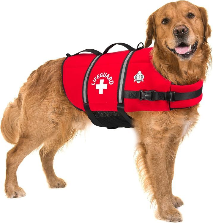 No. 7 - Paws Aboard Dog Life Jacket - 1