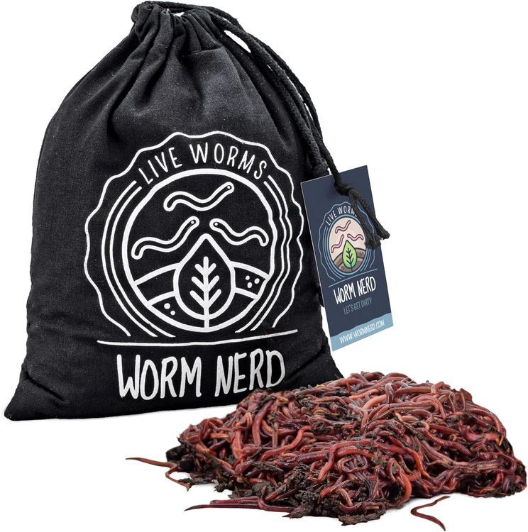 No. 9 - Worm Nerd Composting Worms - 1