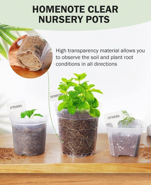 No. 4 - Homenote Clear Nursery Pots - 3