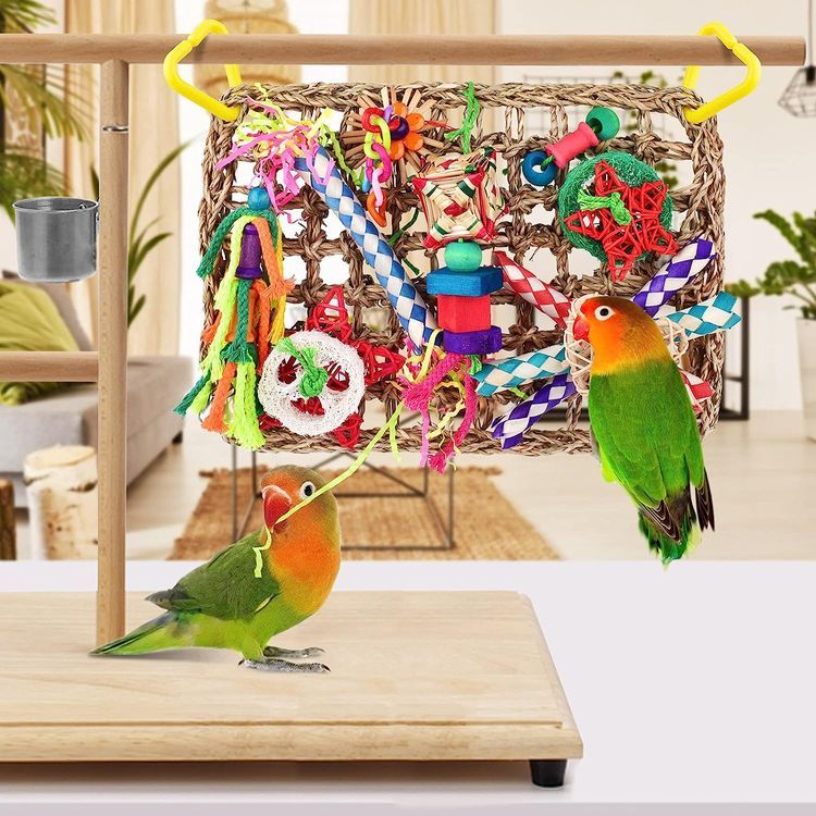 No. 4 - KATUMO Bird Foraging Wall Toy - 4