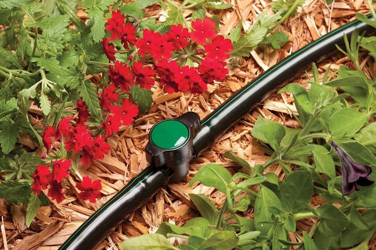 No. 6 - Rain Bird BVAL50-1S Drip Irrigation 1/2" Barbed Valve - 2