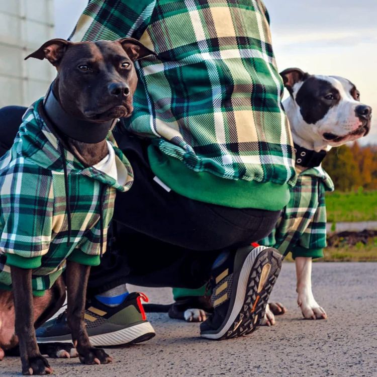 No. 6 - Spark Paws Dog Hoodie - 2