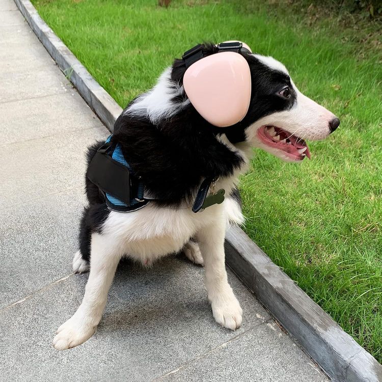 No. 8 - derYEP Dog Earmuffs - 3