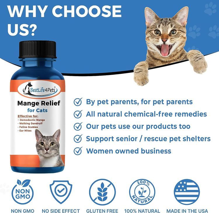 No. 8 - BestLife4Pets Demodectic Mange and Scabies Relief for Cats - 5