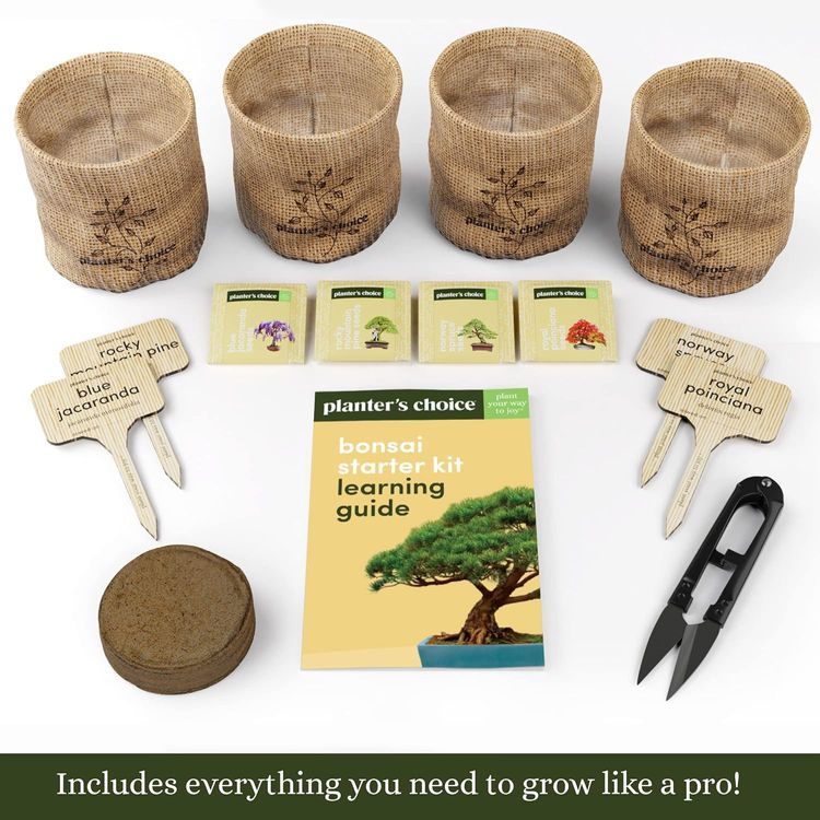 No. 5 - Planters' Choice Bonsai Kit - 2