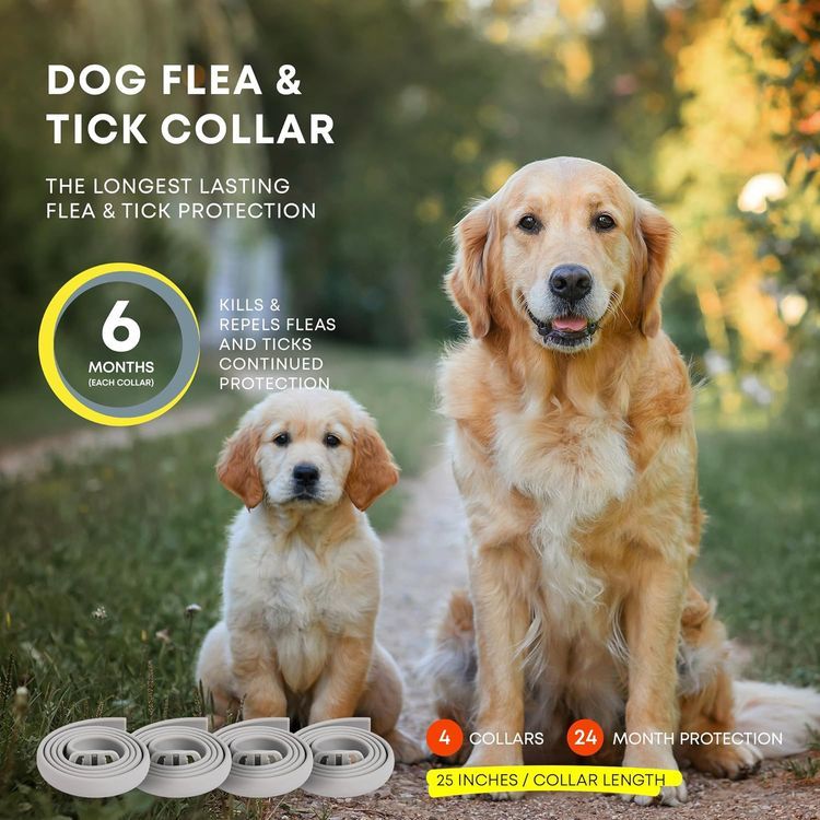 No. 7 - ProElobara Dog Flea Collar - 4