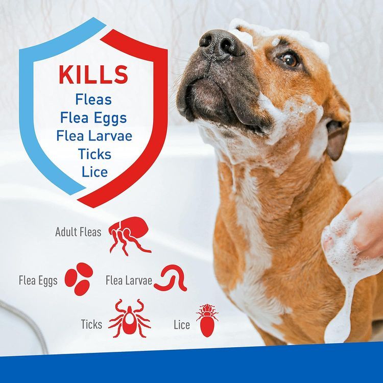 No. 10 - Adams Plus Flea & Tick Shampoo - 2