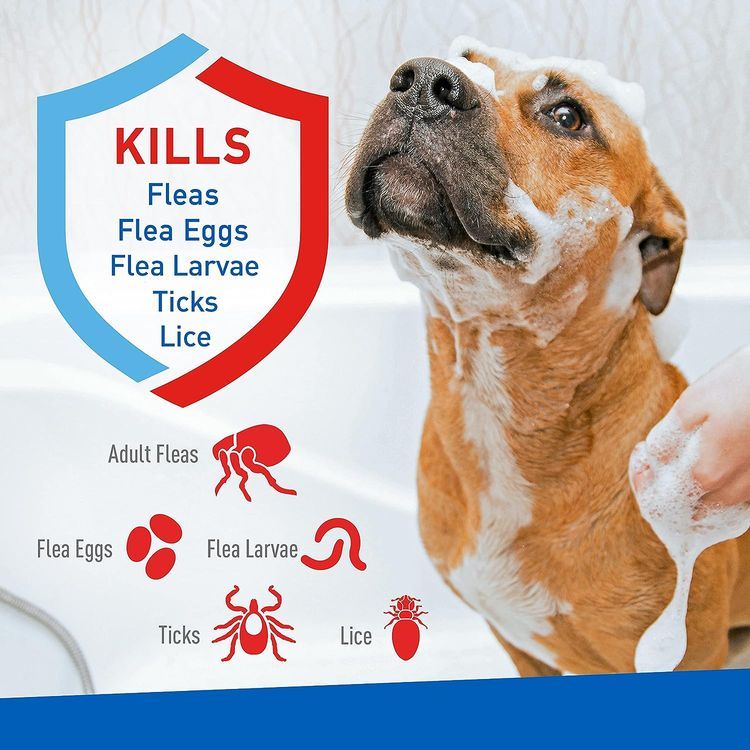 No. 6 - Adams Plus Flea & Tick Shampoo - 2