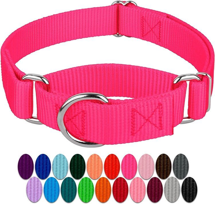 No. 10 - Hot Pink Martingale Heavy Duty Nylon Dog Collar - 1