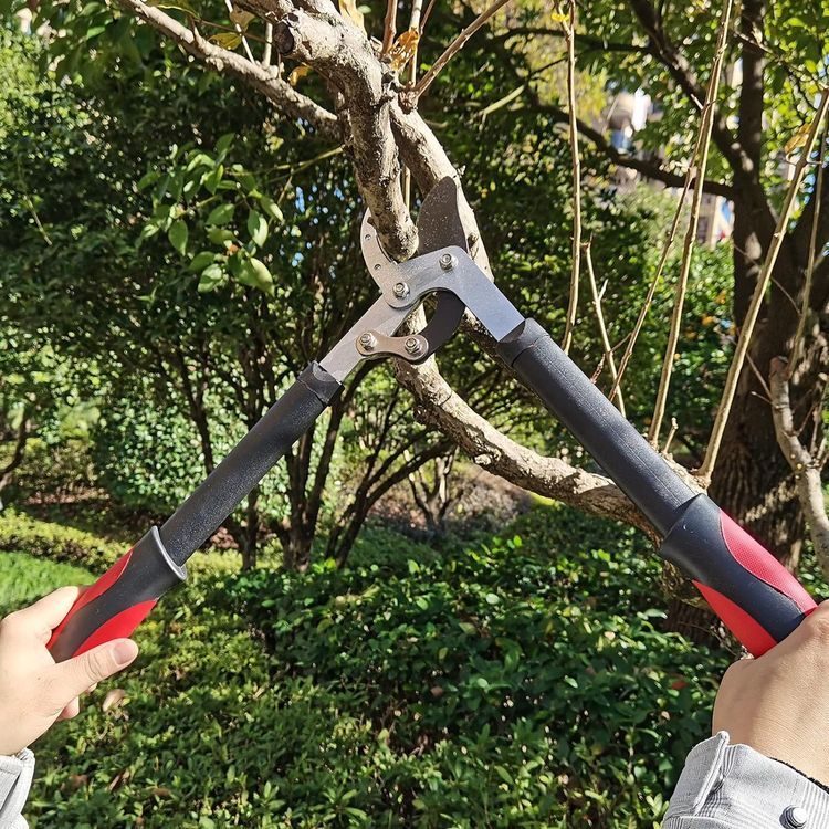 No. 6 - YRTSH Lopper Heavy Duty Branch Cutter - 5