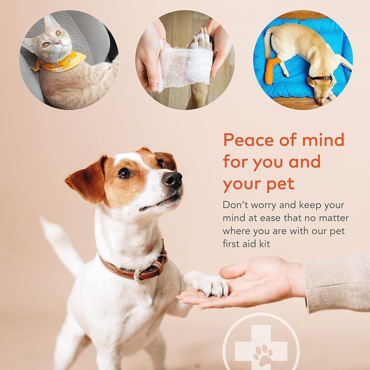 No. 7 - ARCA PET Dog First Aid Kit - 4