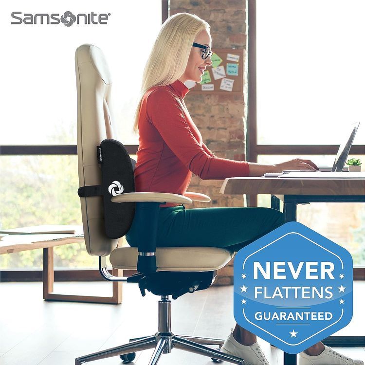 No. 1 - Samsonite Lumbar Support Pillow - 2