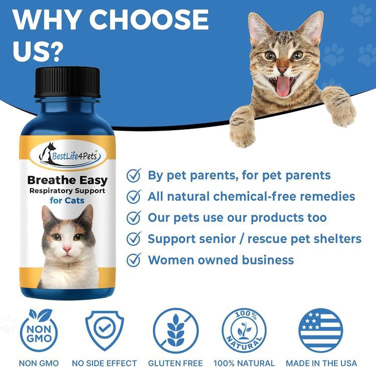 No. 2 - Breathe Easy for Cats - 5