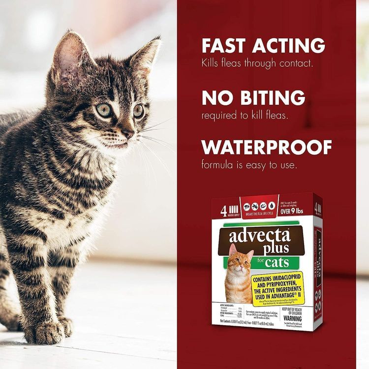 No. 9 - Advecta Plus Flea Prevention - 5