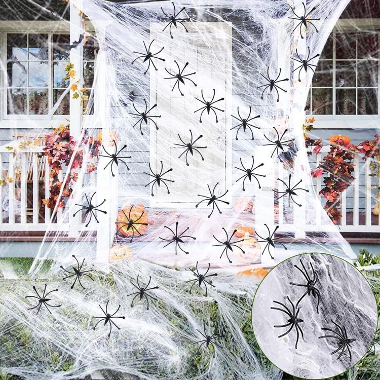 No. 6 - Labrostar Spider Web Decoration - 4