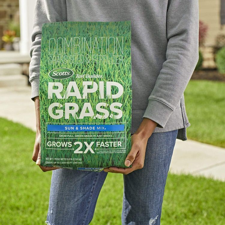 No. 6 - Scotts Turf Builder Rapid Grass Sun & Shade Mix - 3