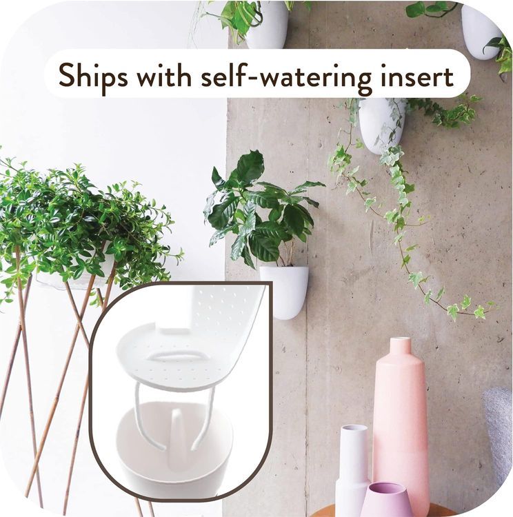 No. 2 - Virgo Self-Watering Wall Planters - 3