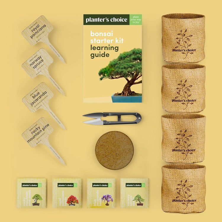 No. 5 - Planters' Choice Bonsai Kit - 4