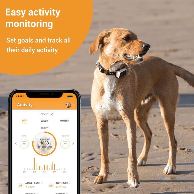 No. 10 - Pawfit 3s GPS Pet Tracker - 4