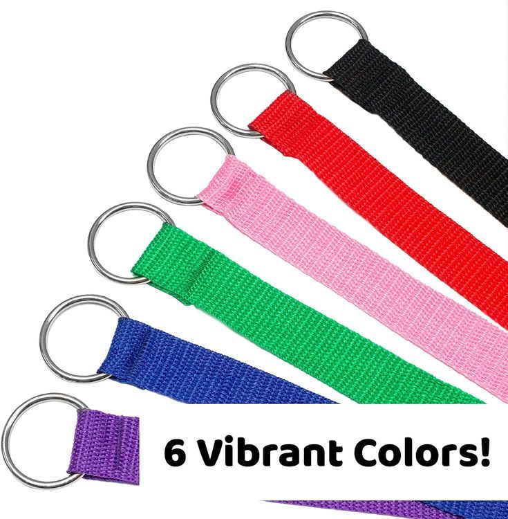 No. 5 - Downtown Pet Supply Slip Leash - 2