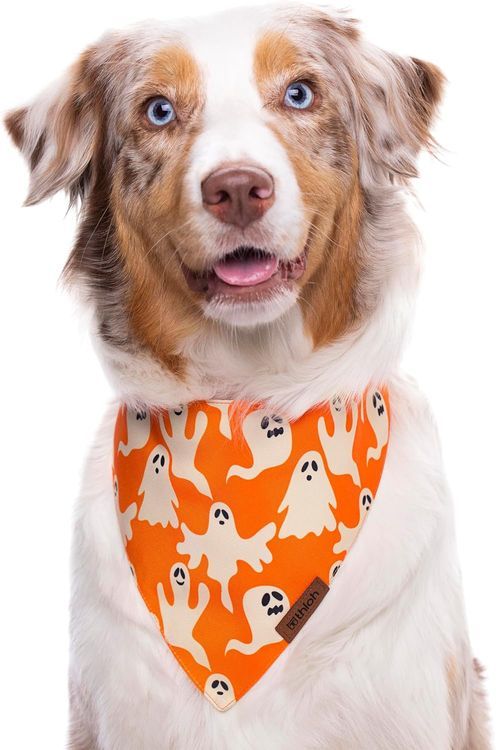 No. 4 - THLOH Halloween Dog Bandanas - 5