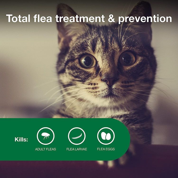 No. 5 - Advantage II Small Cat Vet-Recommended Flea Treatment & Prevention - 4