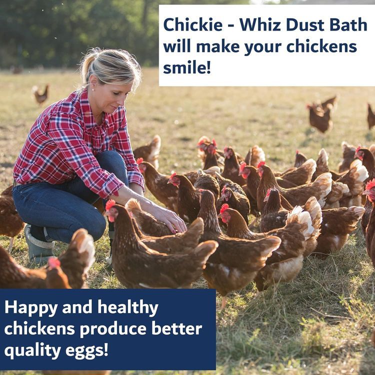 No. 5 - Chickie - Whiz Dust Bath - 5