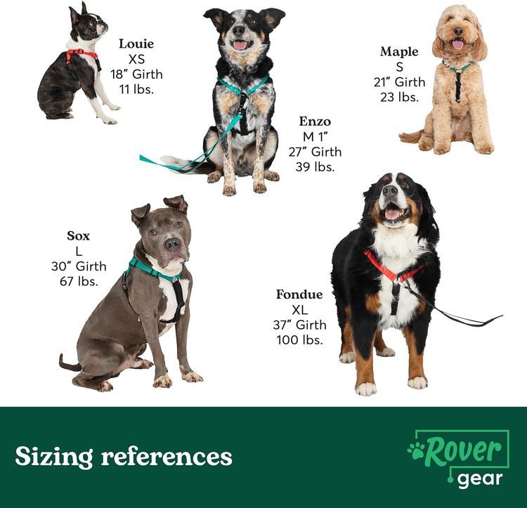 No. 8 - Rover Gear Better Walk No Pull Dog Harness - 4