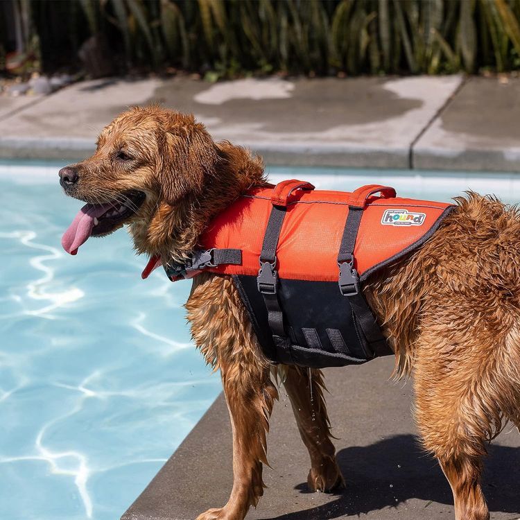 No. 1 - Outward Hound Granby Splash Orange Dog Life Jacket - 5