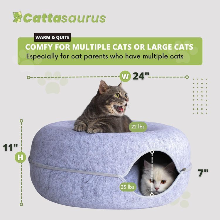 No. 10 - Cattasaurus Peekaboo Cat Cave - 2