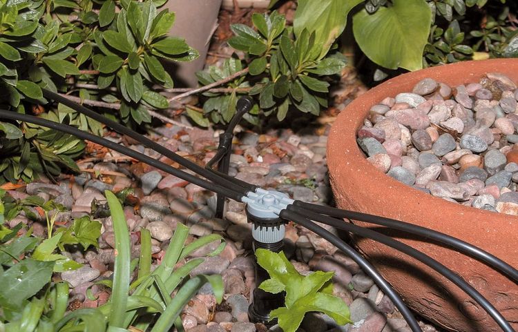 No. 9 - Rain Bird Drip Irrigation 6-Port Manifold - 2