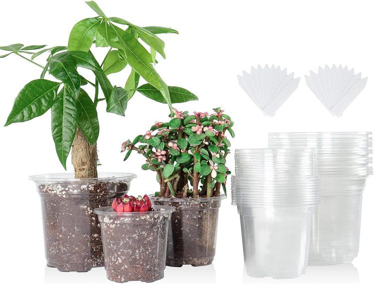 No. 3 - Bluepro Plastic Planter Nursery Pots - 1