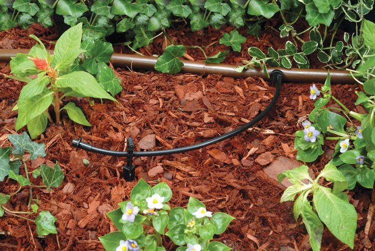 No. 5 - Rain Bird T22-100S Drip Irrigation 1/4" Blank Distribution Tubing - 2