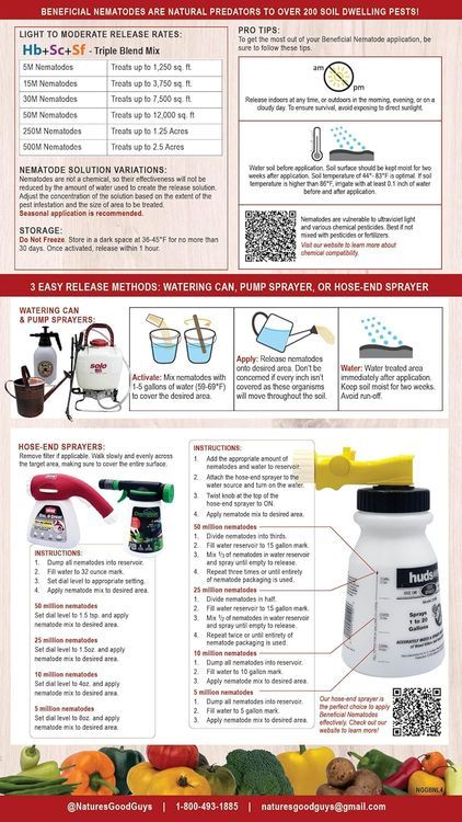 No. 3 - Beneficial Nematodes - 3