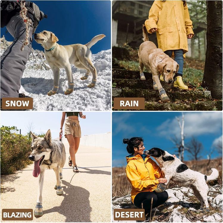 No. 3 - Dog Boots - 4