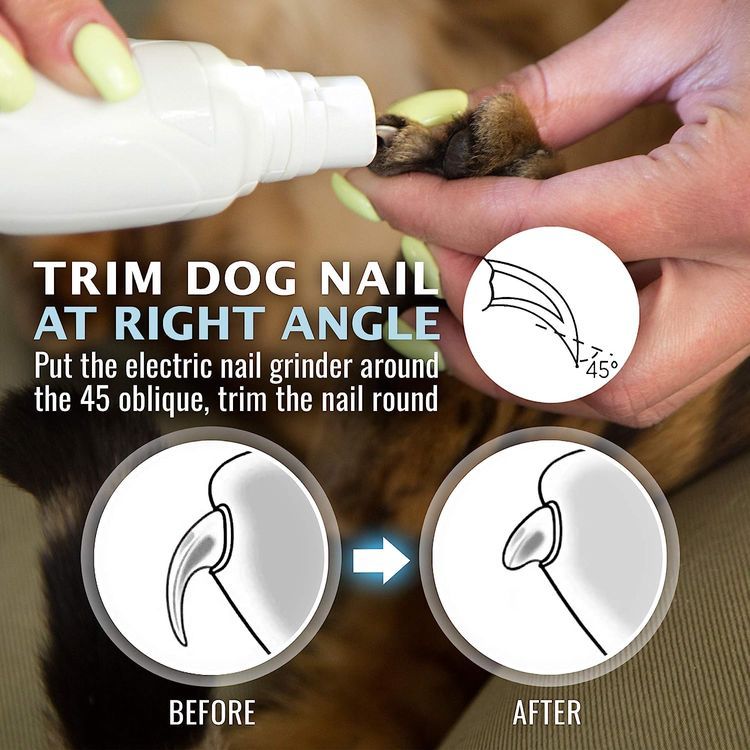 No. 8 - REXIPETS Electric Dog Nail Grinder - 3