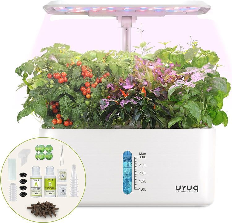 No. 2 - Hydroponics Growing System Indoor Garden - 1