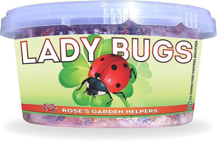 No. 5 - Ladybugs for Pest Control - 1