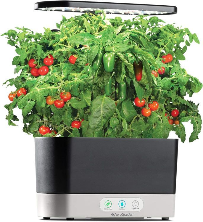 No. 7 - AeroGarden Salsa Garden Seed Pod Kit - 4