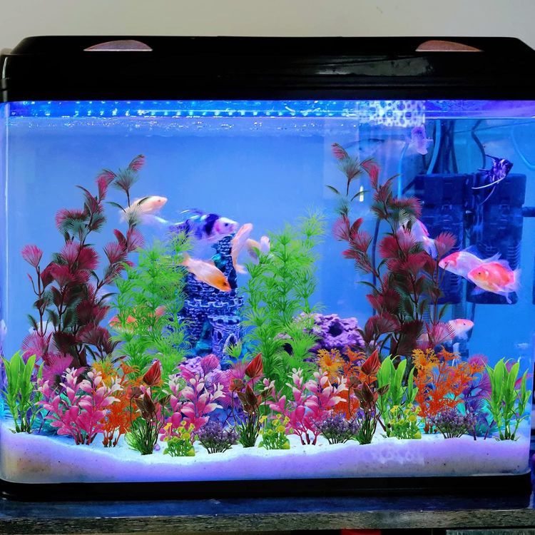 No. 6 - Plastic Aquarium Plants - 2