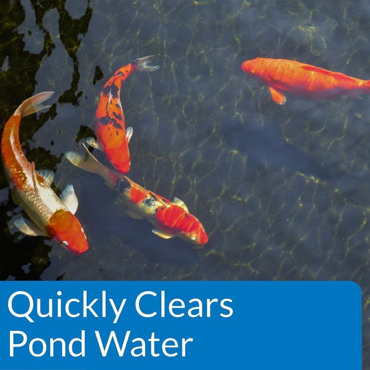 No. 4 - API POND ACCU-CLEAR - 3