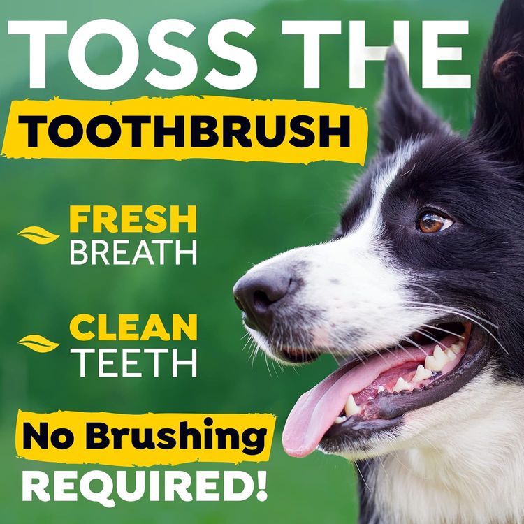 No. 5 - Fresh Breath Dog Dental Care Water Additive - 2