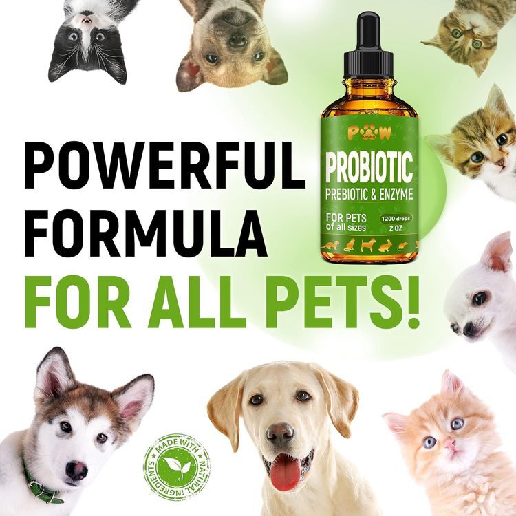 No. 7 - Golden Paw Dog Probiotic Supplement - 2