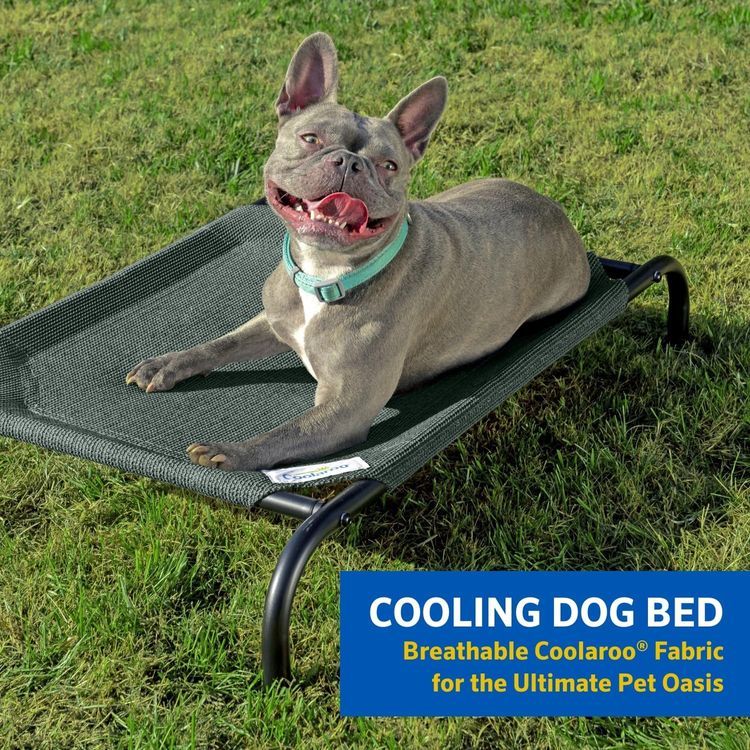 No. 10 - Coolaroo Elevated Dog Bed - 2