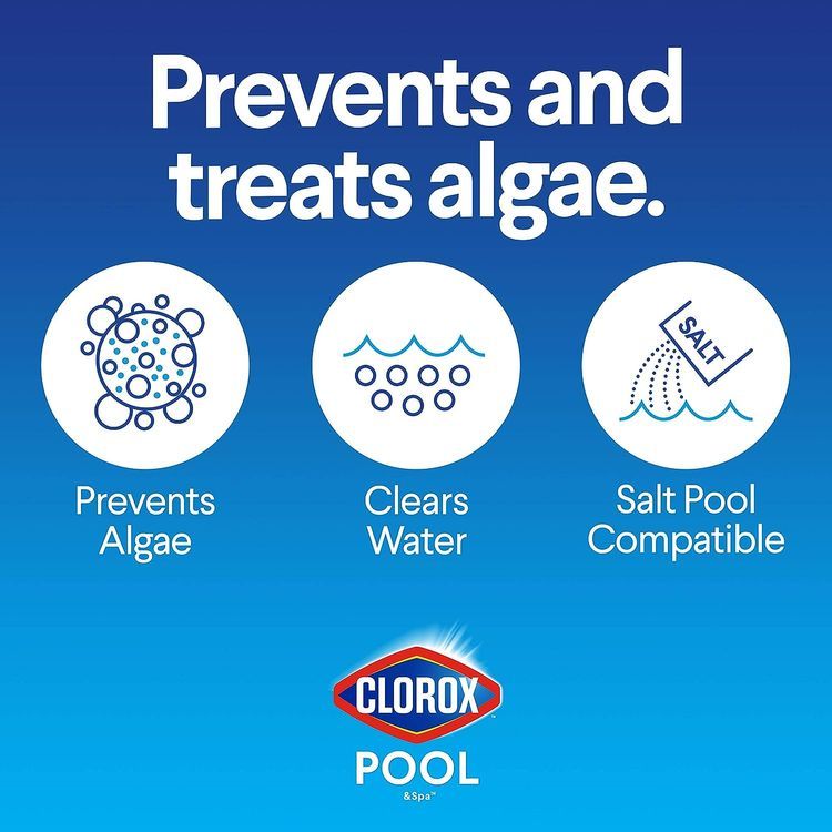 No. 2 - Clorox Pool Algaecide - 4