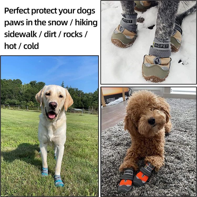No. 3 - Dog Boots - 5