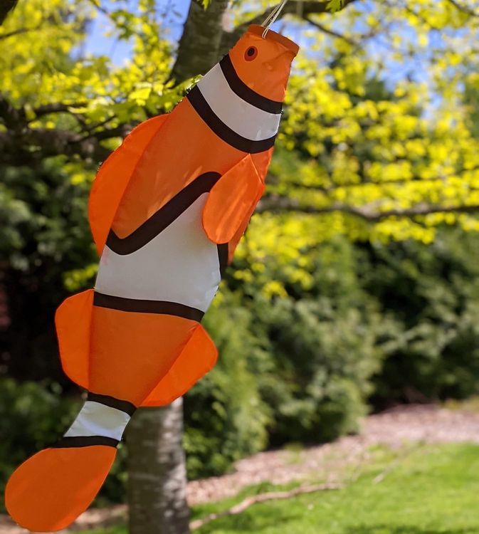 No. 8 - Madrona Brands Orange Clown Fish Windsock - 4