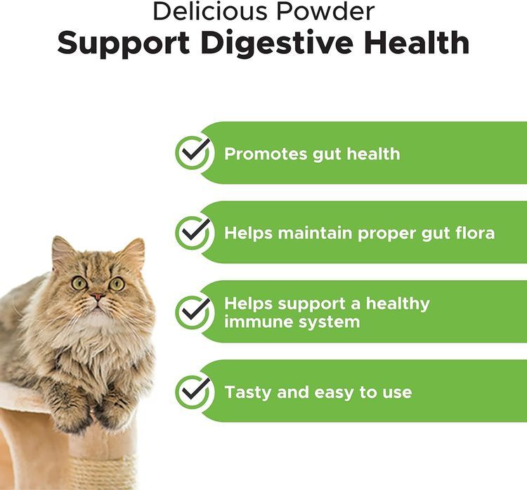 No. 4 - Pet Honesty Digestive Probiotics Max Strength for Cats Supplement - 3