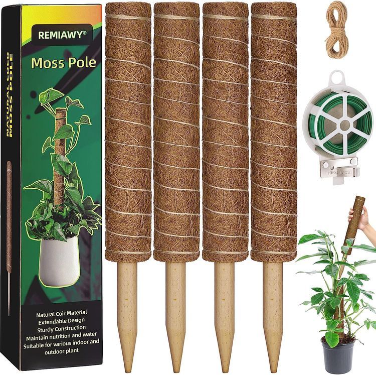 No. 6 - Plant Poles for Climbing Plants - 1