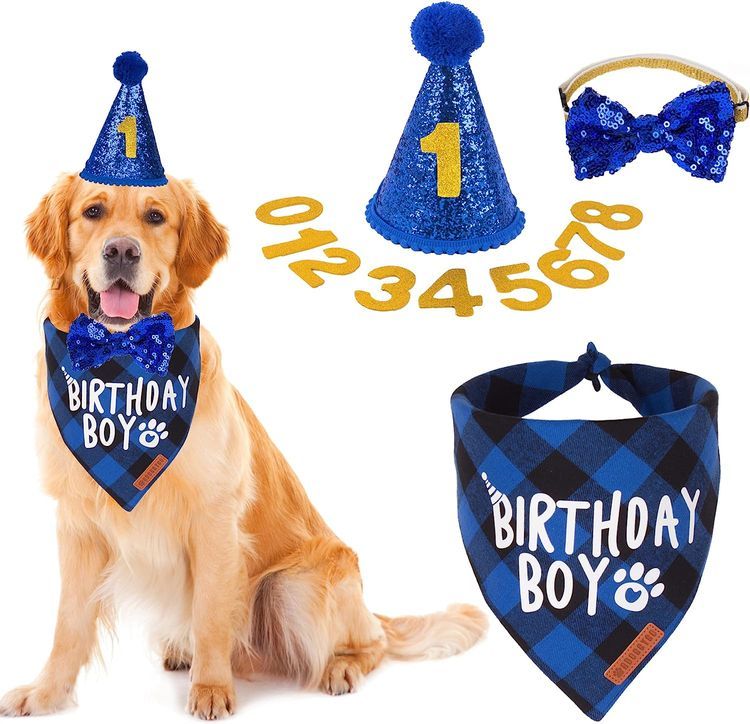 No. 7 - ADOGGYGO Dog Birthday Party Supplies - 1